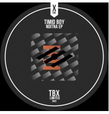 Timid Boy - Noitna EP