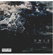 Timmy Kos - Owls (Original Mix)