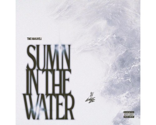 Timo - SUM'N IN THE WATER