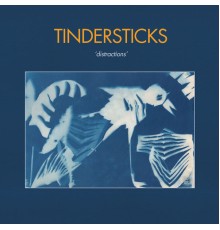 Tindersticks - Distractions