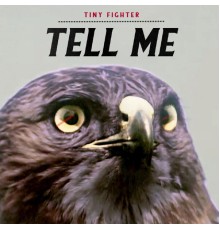 Tiny Fighter - Tell Me