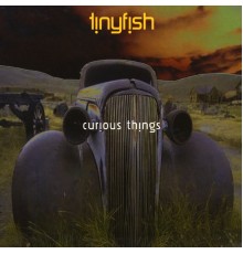 Tinyfish - Curious Things