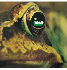 Toad - Toad