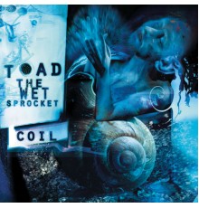 Toad The Wet Sprocket - COIL