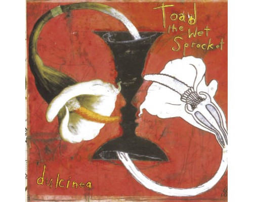 Toad The Wet Sprocket - Dulcinea