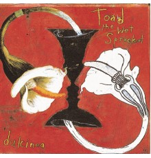 Toad The Wet Sprocket - Dulcinea