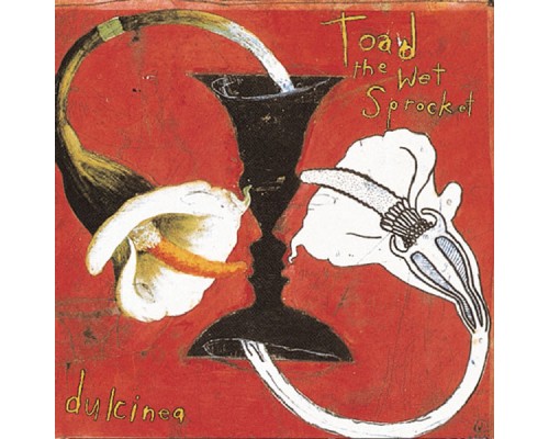 Toad The Wet Sprocket - Dulcinea