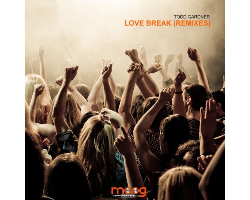 Todd Gardner - Love Break (Remixes)