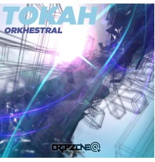 Tokah - Orkhestral