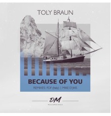 Toly Braun - Because Of You