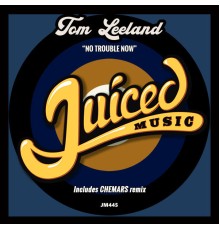 Tom Leeland - No Trouble Now