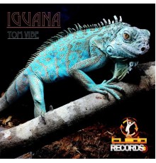 Tom Vibe - Iguana