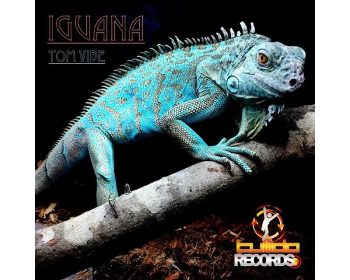 Tom Vibe - Iguana