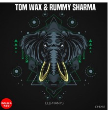 Tom Wax, Rummy Sharma - Elephants