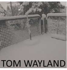 Tom Wayland - Tom Wayland