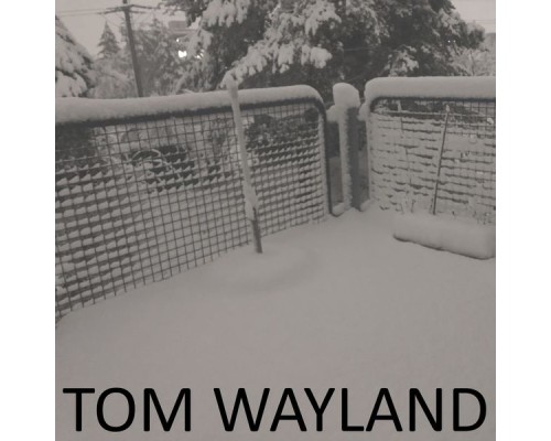 Tom Wayland - Tom Wayland