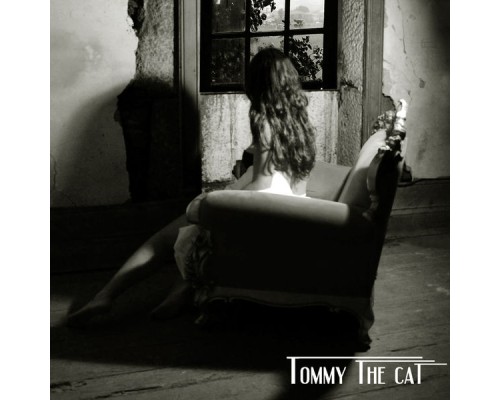 Tommy the Cat - The Cot