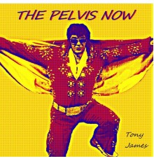 Tony James - The Pelvis Now