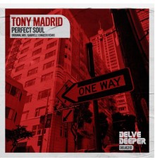 Tony Madrid - Perfect Soul