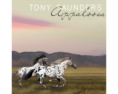 Tony Saunders - Appaloosa