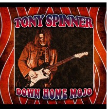 Tony Spinner - Down Home Mojo