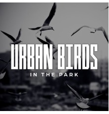 Top 40, Journey Music Paradise - Urban Birds in the Park (Soothing Chillhop Tunes)