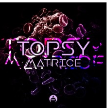 Topsy - Matrice