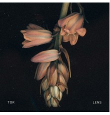 Tor - Lens