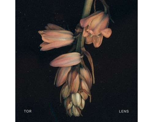 Tor - Lens