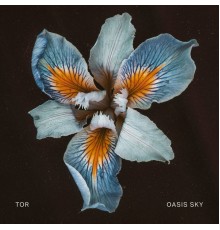 Tor - Oasis Sky