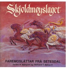 Torleiv H. Bjørgum & Hallvard T. Bjørgum - Skjoldmøyslaget