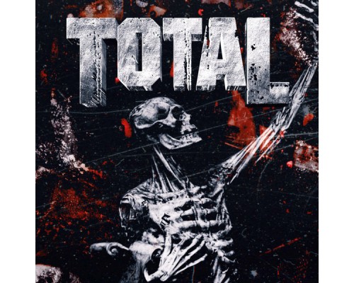 Total - Lärdomen