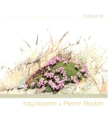 Toy.Bizarre & Pierre Redon - Saisons