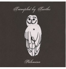 Trampled by Turtles - Palomino