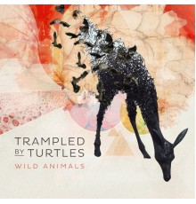 Trampled by Turtles - Wild Animals