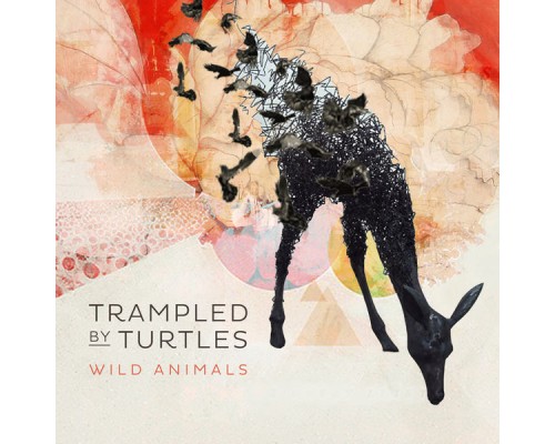 Trampled by Turtles - Wild Animals