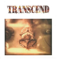 Transcend - Version 8.5