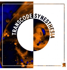 Transcode - Synesthesia