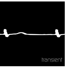 Transient - Transient