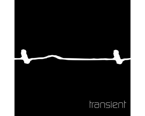 Transient - Transient