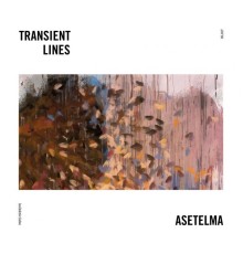 Transient Lines - Asetelma