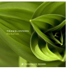 Translippers - Herbalism