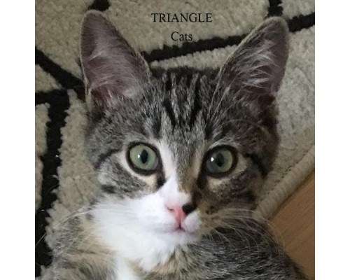 Triangle - Cats