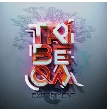 Tribeqa - Experiment