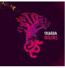 Tribeqa - Qolors