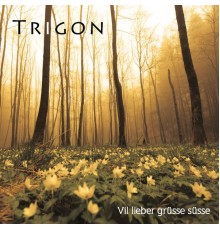 Trigon - Vil lieber grüsse süsse