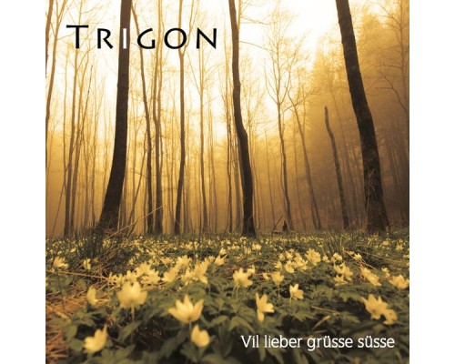 Trigon - Vil lieber grüsse süsse