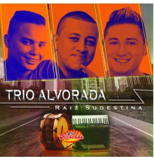 Trio Alvorada - Raiz Sudestina