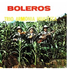 Trio Armonia Huasteca - Boleros