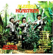 Trio Armonia Huasteca - Alegría Huasteca